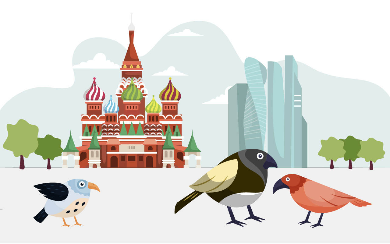 В Москве удалось обнаружить 20 видов редких птиц