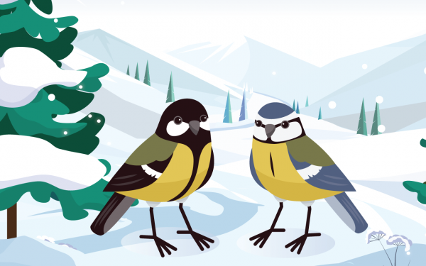 Московка, лазоревка и пухляк: шесть видов синиц можно увидеть в столице зимой