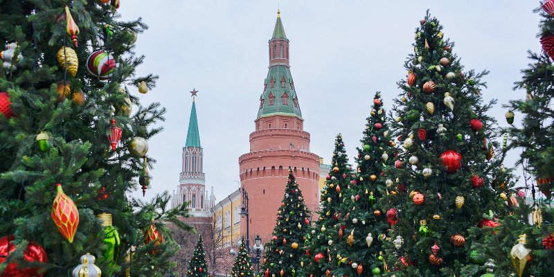 Ретрофутуристическая, готическая, крымская: какие ели украсят площадки фестиваля «Путешествие в Рождество»