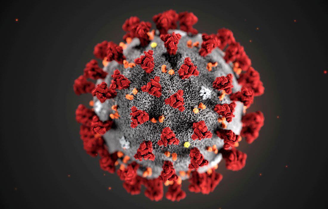 Отставить панику: все, что нужно знать о коронавирусе