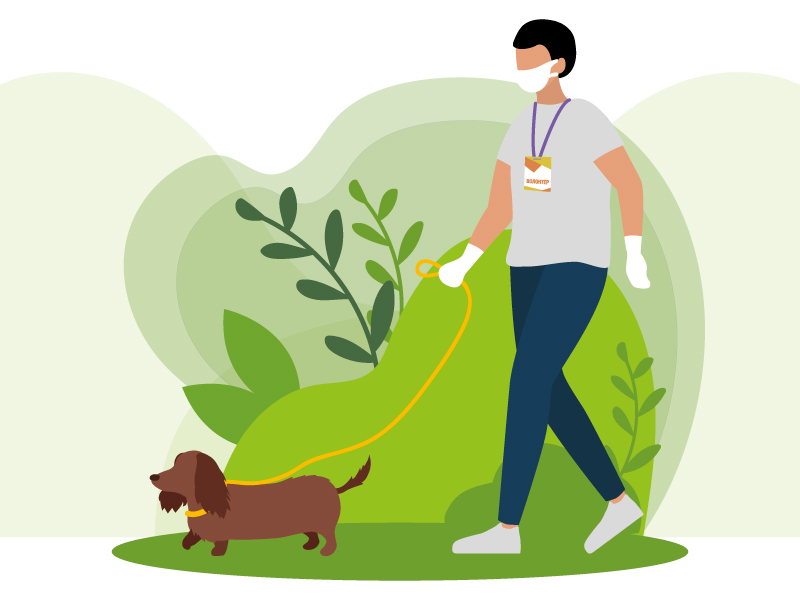 Социальные волонтеры провели на прогулках с собаками больше четырех тысяч часов