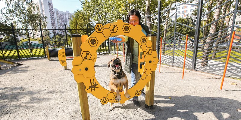 Больше мест для прогулок с питомцем: в парках и скверах обустроили 22 площадки для выгула собак